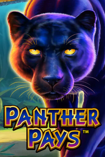 Попробуй Panther Pays в демо бесплатно онлайн | Azino777